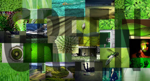 'Colour Green' Photo Comp: Winner Announced