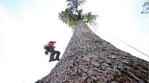 Climbing Big Lonely Doug