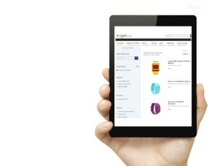 SPECIAL REPORT: Online spending