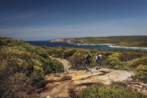 Bridge retrofit reconnects wildlife habitat above Princes Motorway