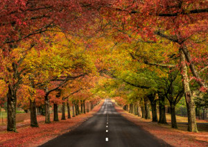 Opinion: why landscape photography should be more than the photo