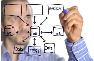 Hardcat an integral part of this year's Nobel Peace Prize