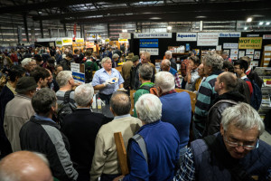 Festival of Wood in Sydney
