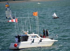 Stop the gravy train, ISAF, we want most of you to get off