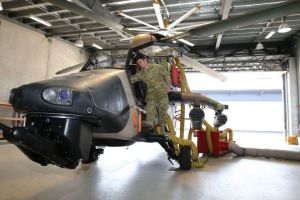 Tiger sustainment remediation deed signed