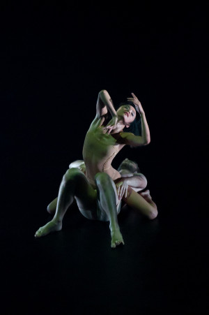 Sydney Dance Company: Louder Than Words