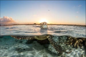 Who won our 'First Light' photo comp for January?