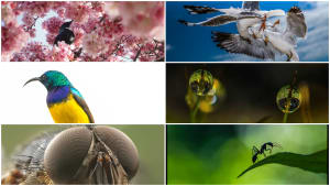 Who won our April photo comp?
