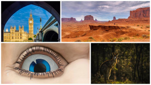 Who won our 'icons' photo comp?