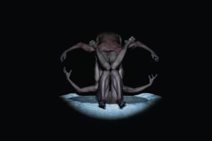 Perth Festival: Vessel & White Spirit