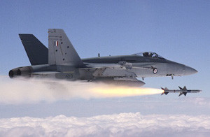 Minister ponders more Hornet options