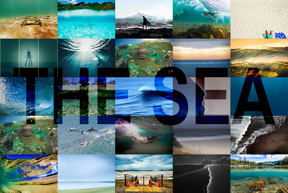 August Photo Competition: Winner and Shortlist Announced