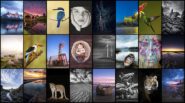 Who won the November 'Shoot a Magazine Cover' contest?