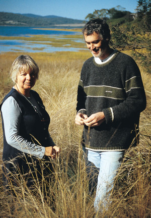 The INnovative DEsign COmpany