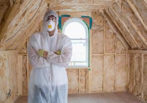 Federal government formally responds to home insulation disaster