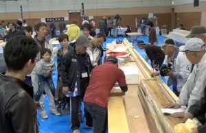 The Best Shaving Wins