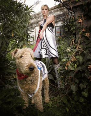 Incubator heats up in 08