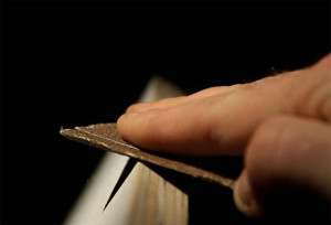 Love Letter to Plywood