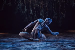 Bangarra Dance Theatre: Ones Country - the spine of our stories  