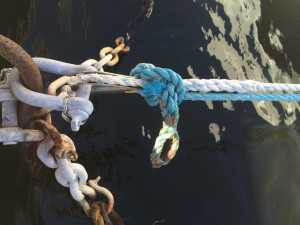 Blue Knot Foundation launches photo comp