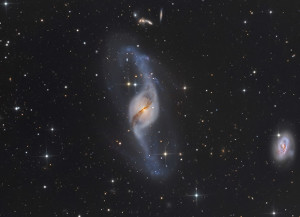 Seeing Stars at Canon's 'David Malin' Awards