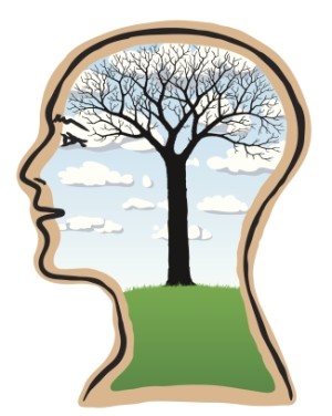 Psychology of sustainability