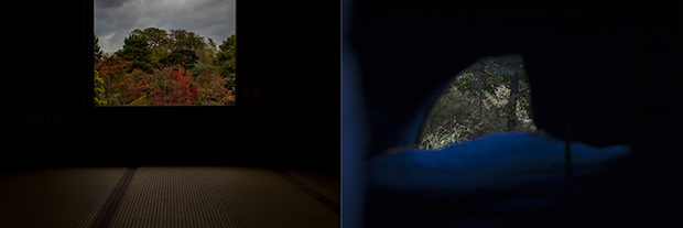 The Poignancy of Things: Brett Boardman Exhibition