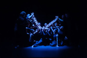 New Zealand School of Dance: Graduation Season 2015