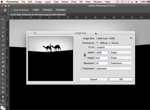 FAQ: How to enter the monthly photo comp