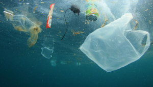 Paper packaging versus plastic 