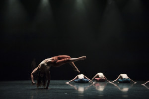 Queensland University of Technology: Dance 15