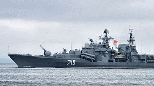 Russian Navy to attend RIMPAC 2012
