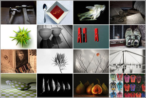 Who Won the May 'Still Life' Photo Comp?