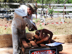 Sculptures in the Garden 2015