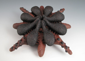 Canberra Woodworking Intensives