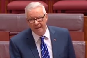 EXCLUSIVE: ALP prepared to work with industry on skills and training, says Doug Cameron