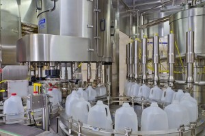 Murray Goulburn opens the way for Australian dairy to surge