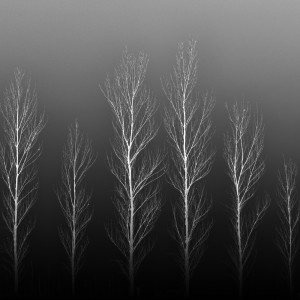 Runner Up, 2015 Black and White Photographer of the Year