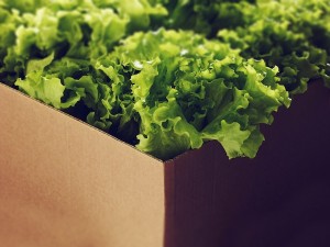 This, retail packaging, is a glimpse of your future.