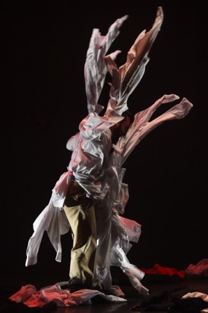 Dancenorth and Tasdance: Threefold: Webber/Hill/Huang Yi