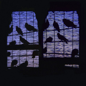 Ludlites Love Light Exhibition
