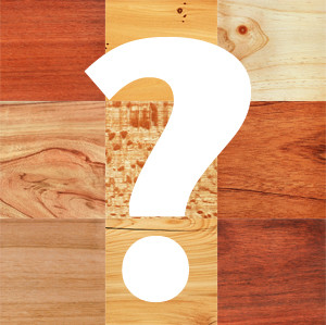What Wood Is This?