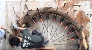 Testing Timber&rsquo;s Tensile Limits