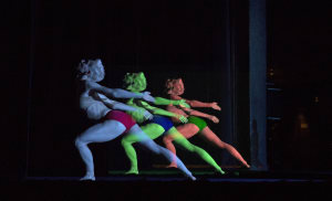 Melbourne Festival: Tree of Codes