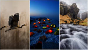 25 finalists from the world's biggest photo competition