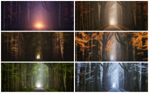 I Shot 7 Photos of the Same Location in Different Seasons