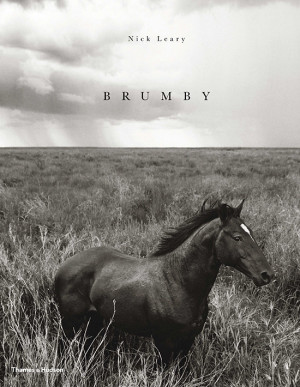 Wild Horses in Brumby Book by Nick Leary