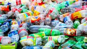 Container deposit report clears beverage makers: AFGC