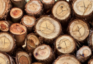 Stacks of Wood