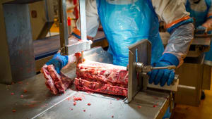 VIDEO: Current trends and tech in meat and snack processing
